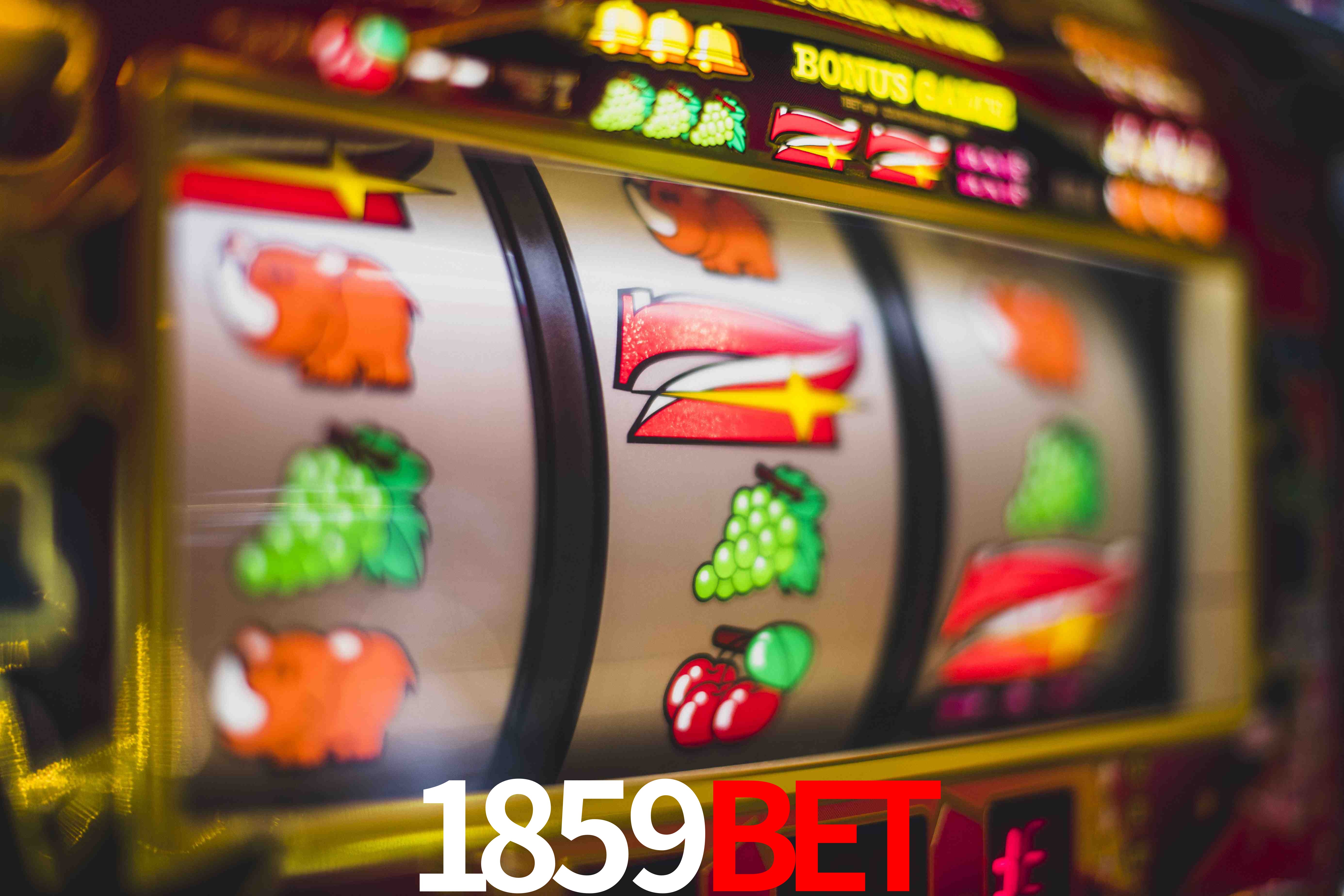 Basketball Betting 1859bet